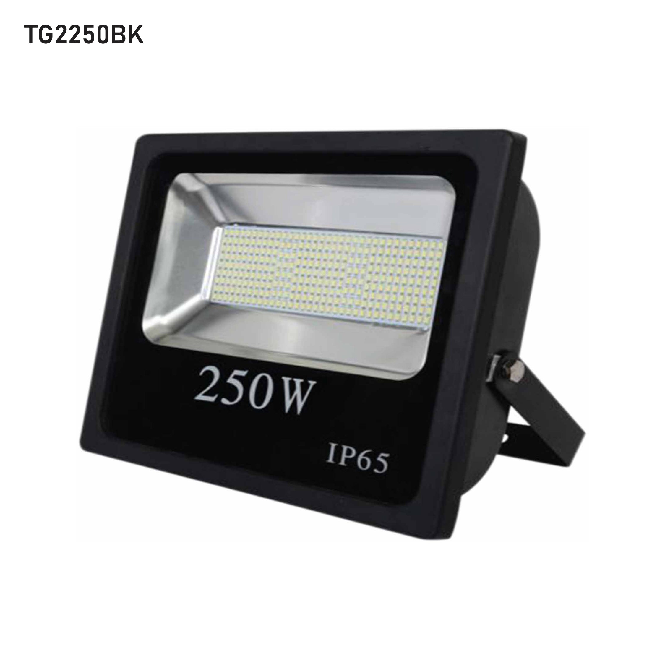 LED Flood Light