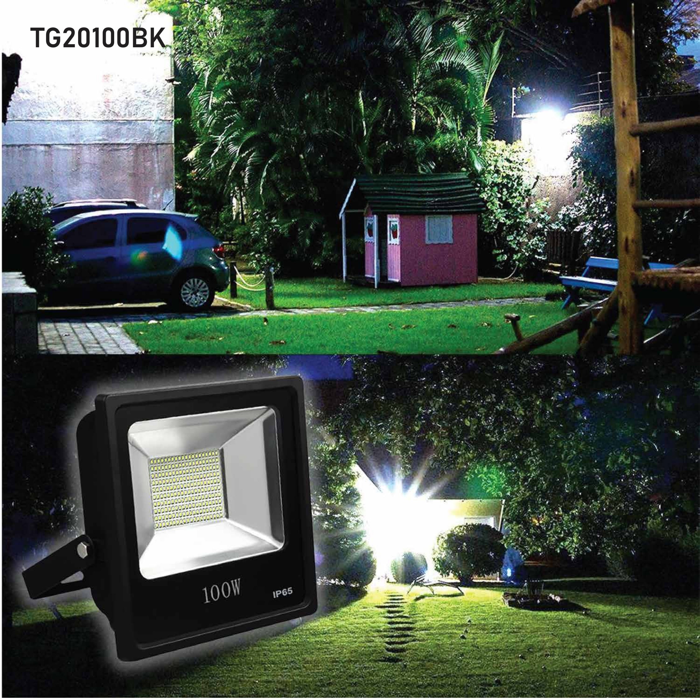 LED Flood Light