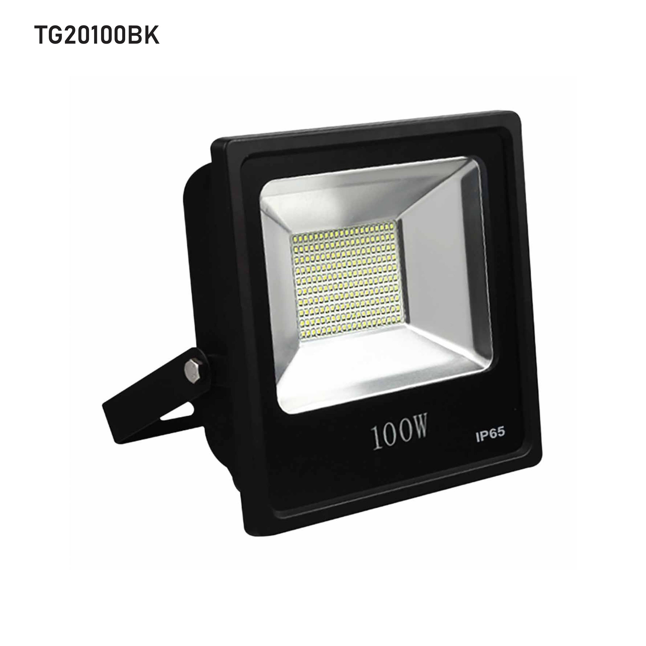 LED Flood Light