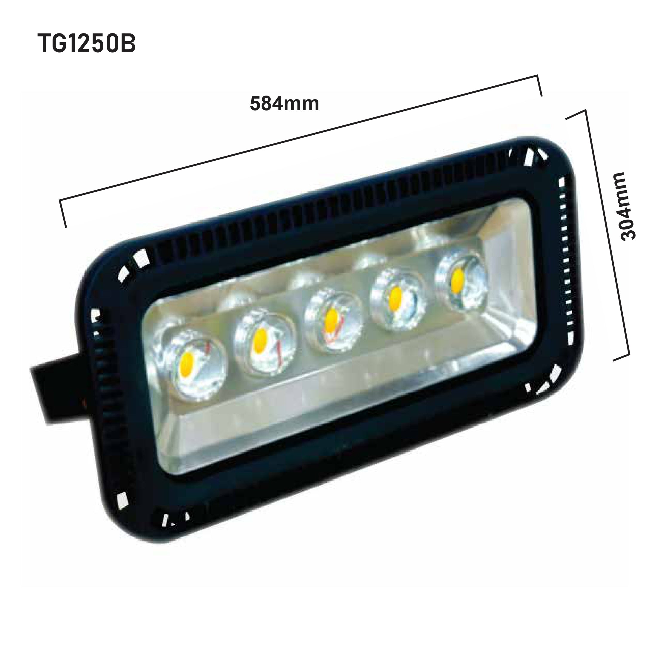 LED Flood Light