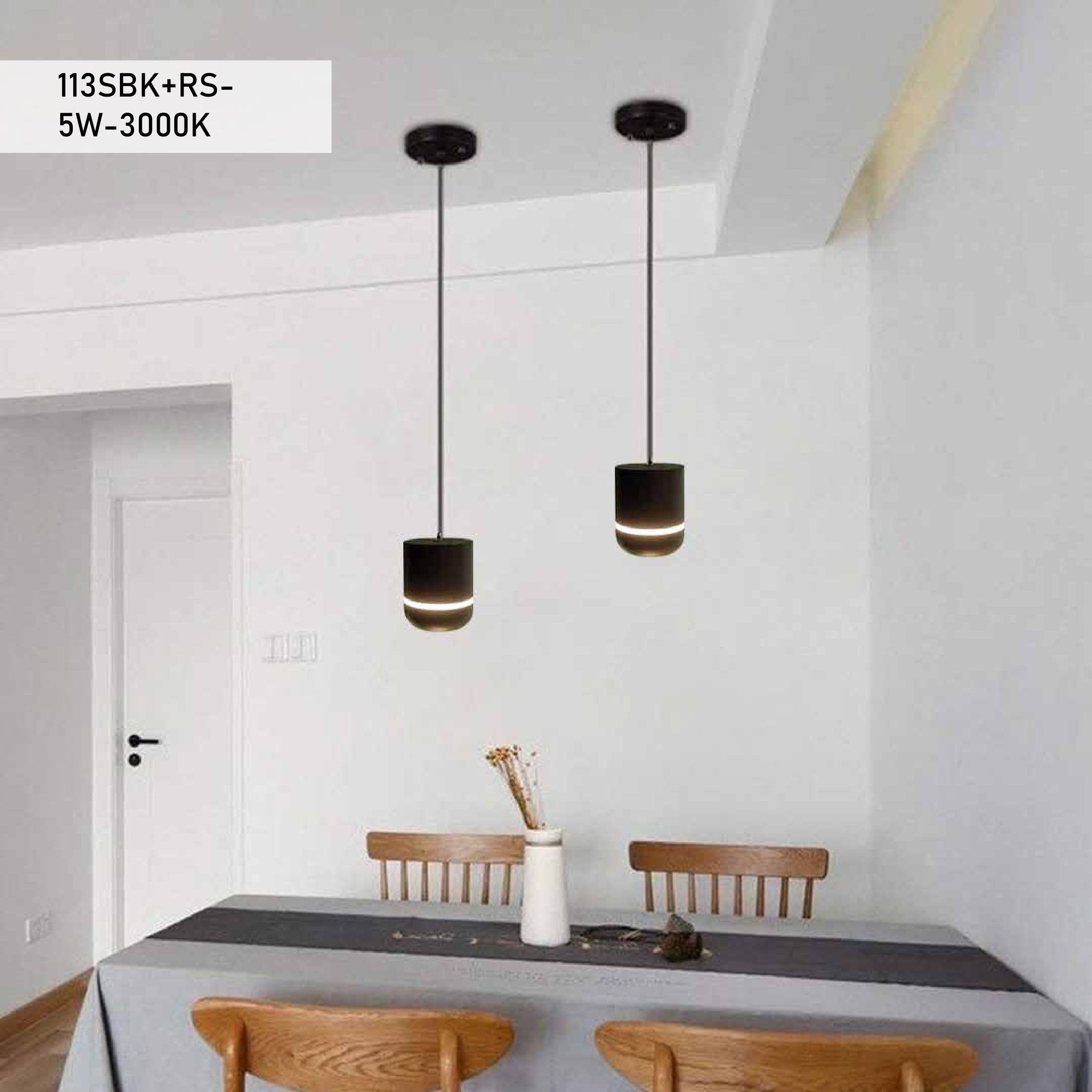 Metal pendant lights | 113SBK+RS-5W-3000K