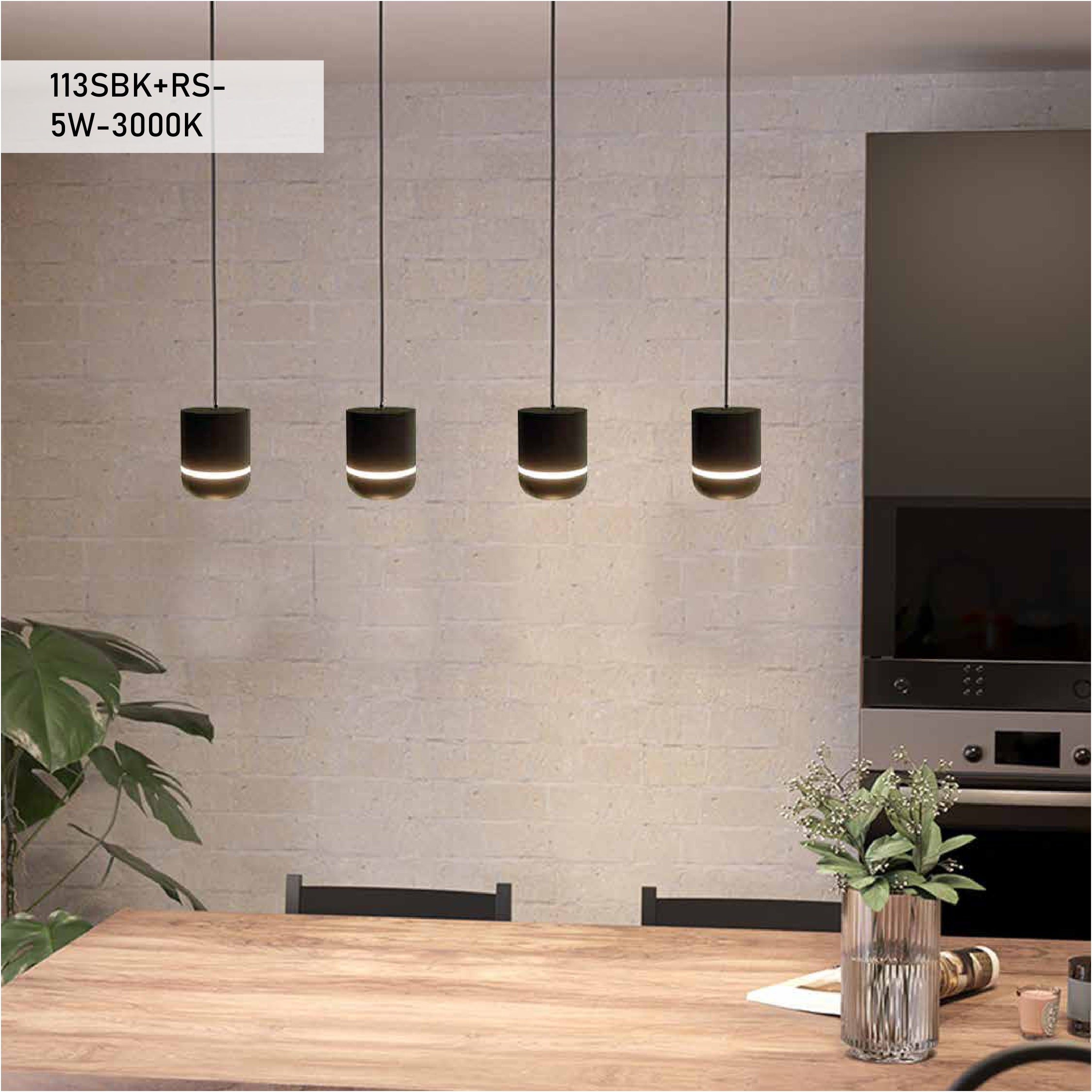 Metal pendant lights | 113SBK+RS-5W-3000K